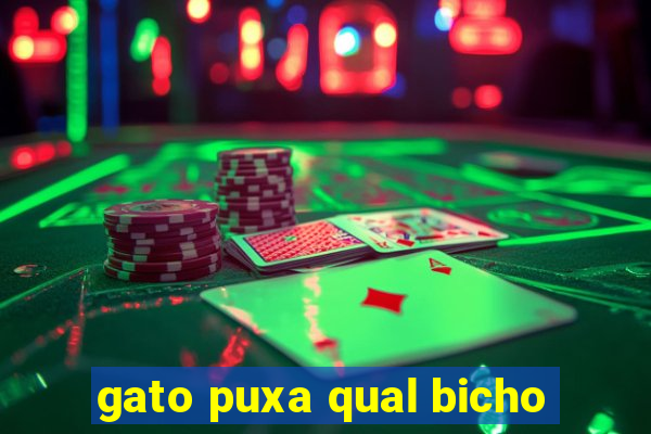 gato puxa qual bicho